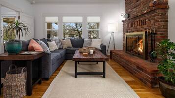 Chimenea y reproductor de DVD