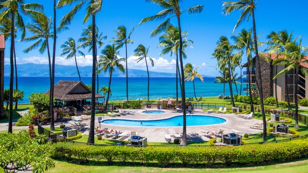 Un resort con piscina, palme e vista sull'oceano.