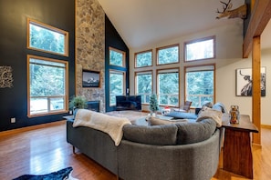 Fireplace, DVD player, computer monitors