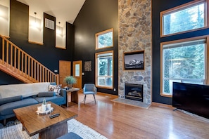 Fireplace, DVD player, computer monitors