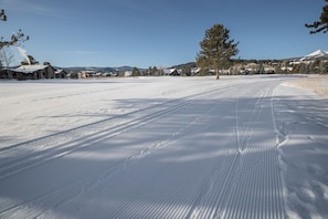 A snow-covered landscape with a clear sky, a few houses, and a prominent pine tree.