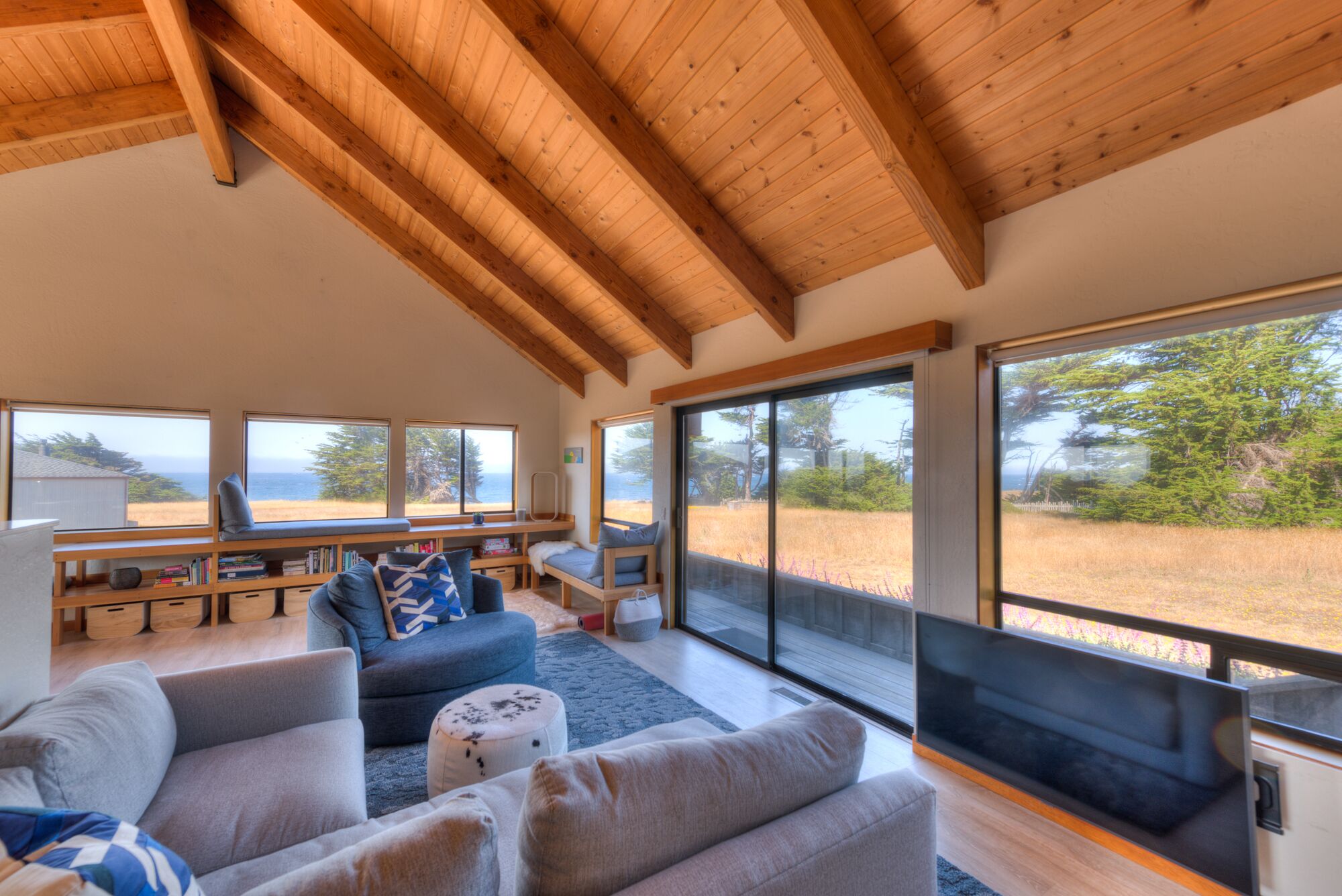 Smart TV, chimenea y libros 