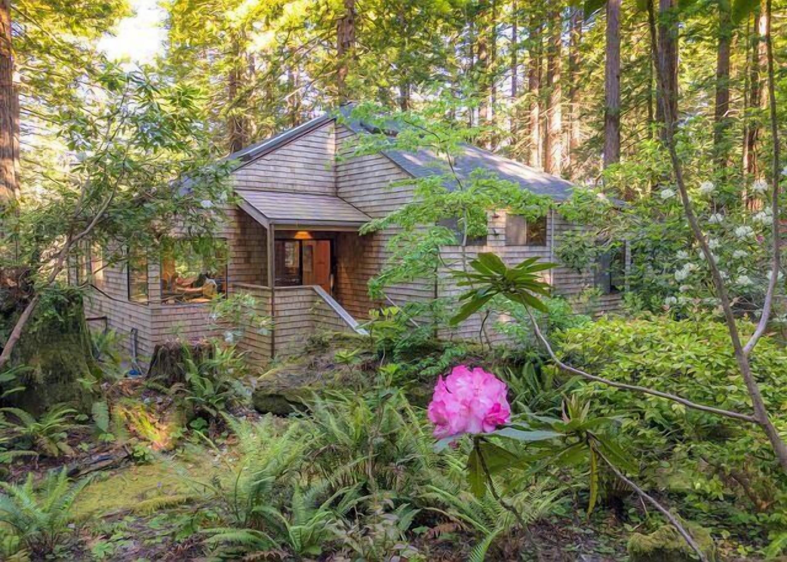 A cabin surrounded by dense forest, with a visible entrance and a small porch area.