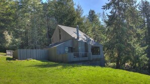 A modern wooden cabin with a sloped roof, surrounded by a grassy area and dense forest.