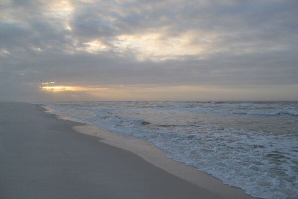Playa en los alrededores y camastros 