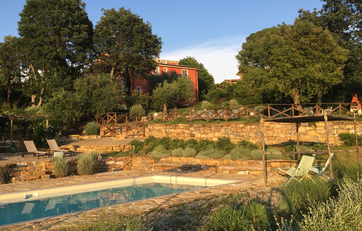 Image de profil de l’hôte