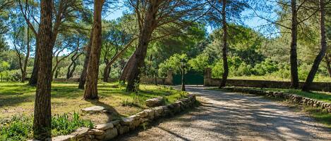 A gravel path bordered by stone walls and trees, leading to a green gate.