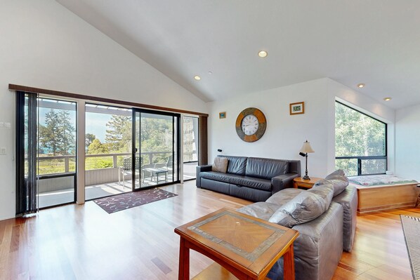 TV, DVD player, books - Sunny home with Ocean Views, Private Hot Tub, High-Speed WiFi, Washer/Dryer (Sea Ranch)