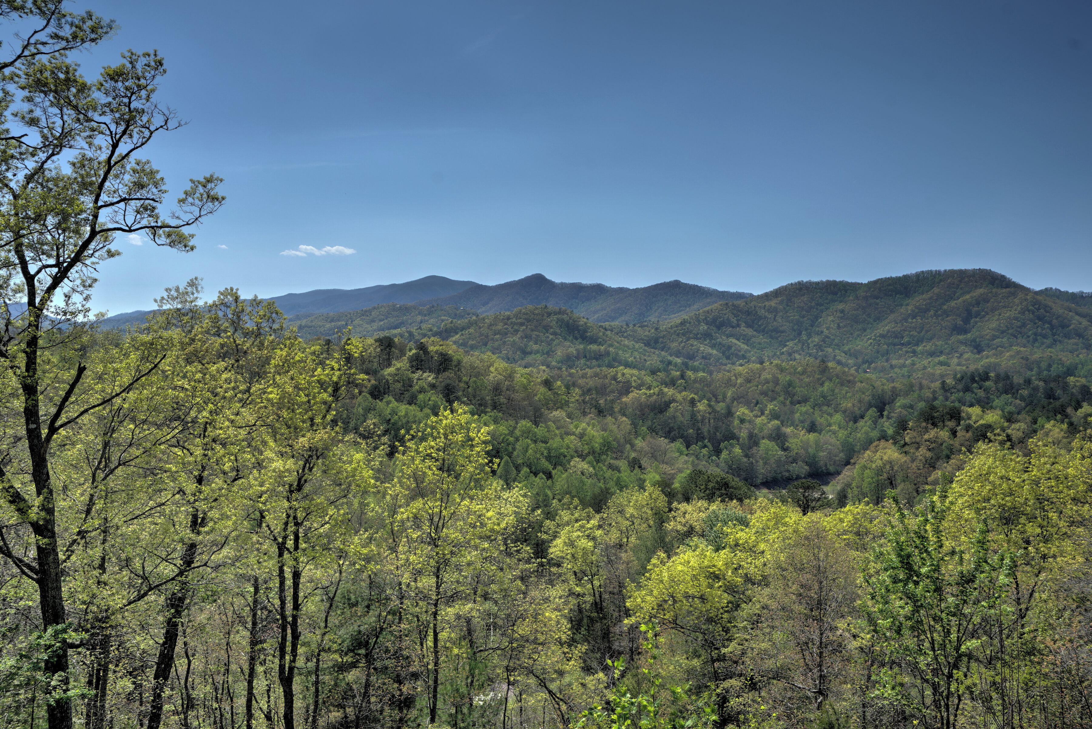 A mountainous landscape with dense forest.