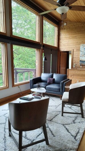 TV, fireplace, foosball