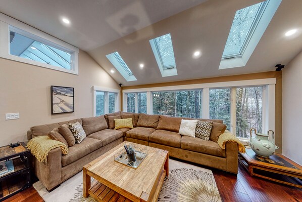 TV, fireplace, video games, DVD player