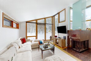 TV, fireplace, books, stereo