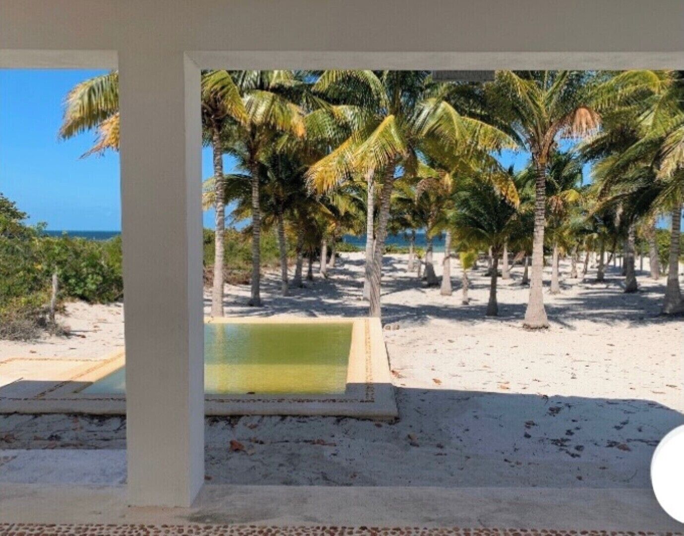 A beach view with palm trees and a pool.