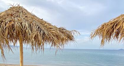 Seafront Oasis Beach House