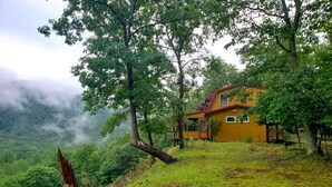 A yellow house surrounded by lush greenery and trees, with a view of a forested area in the background. - Private mountaintop cabin with hot tub, pool table, and breathtaking views (Great Cacapon)