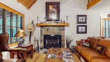 Télévision, cheminée, lecteur de DVD, vidéothÚque