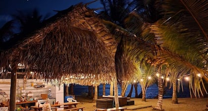 Beachfront surrounded by lush natural jungle. Snorkle from shore manatee watch