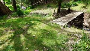 Un puente de madera sobre un arroyo en un jardín verde y exuberante con árboles y helechos.