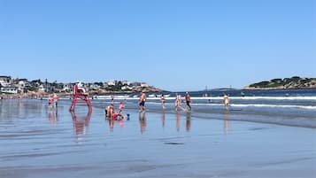 Plage à proximité, chaises longues, serviettes de plage