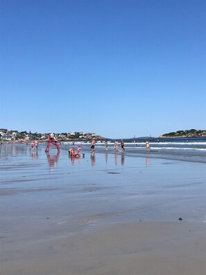 Playa en los alrededores, camastros y toallas de playa 