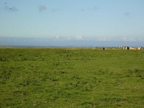 Unclassified image, 5 of 19, button