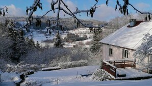 Ett snötäckt landskap med ett hus som har en träveranda och ett tak av metall.