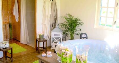 Country house near Saumur, Swimming pool, Jacuzzi