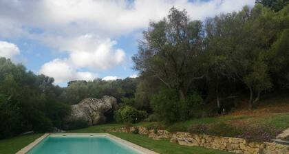 Impeccable 6-bed Villa in Luogosanto