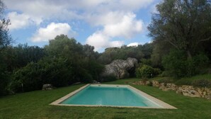Une piscine rectangulaire entourée d’une pelouse bien entretenue et d’une végétation dense.
