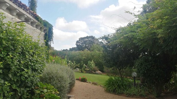 Un sentier de jardin bordé de différentes plantes et un chemin recouvert de gravier.