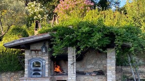 Cocina al aire libre de piedra con horno de pizza, una fogata y zona de barbacoa, rodeada de vegetación.