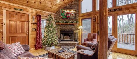 Fireplace, DVD player