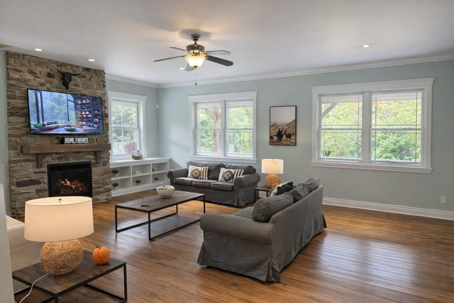 智能电视、壁炉、电子游戏、DVD 播放器