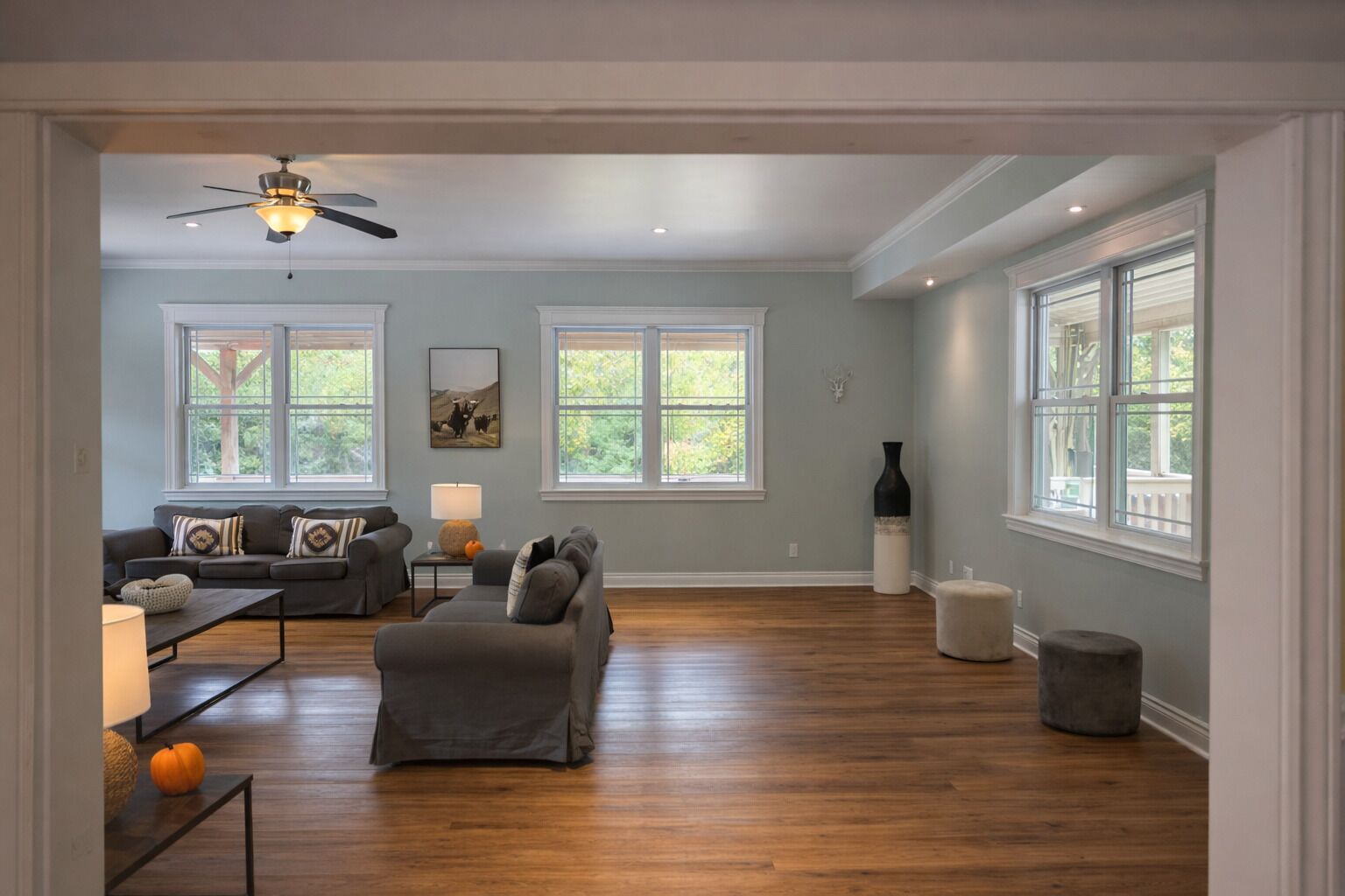 Smart TV, fireplace, video games, DVD player