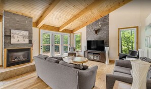 Télévision, cheminée, jeux vidéo, lecteur de DVD