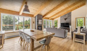 Télévision, cheminée, jeux vidéo, lecteur de DVD