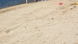 Una playa arenosa con un río tranquilo al fondo.