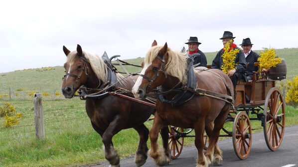A horse-drawn carriage with two horses and three passengers on a rural road.