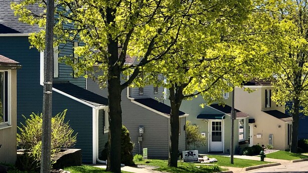 Une rangée de maisons de ville, avec un arbre au centre qui offre de l’ombre.