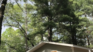 A small, single-story cabin with a front door and two windows, surrounded by trees. - 1-bedroom cabin near Huron-Manistee National Forest (Newaygo)