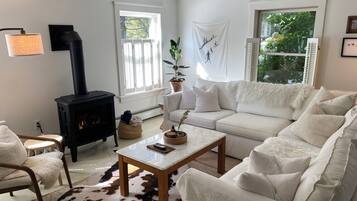 Smart TV, fireplace, books, streaming services