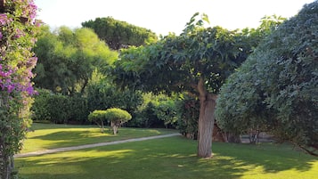 Parco della struttura