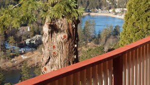 Une terrasse en bois offrant une vue sur un lac et les arbres environnants.