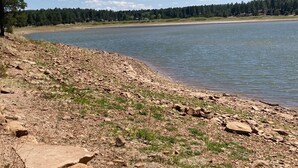 A rocky shoreline with a calm lake, surrounded by dense forest.