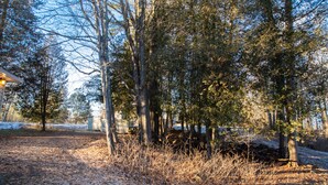 A forested area with trees and a path. - Lakeview Cottage - Myers Cave Resort (North Frontenac)