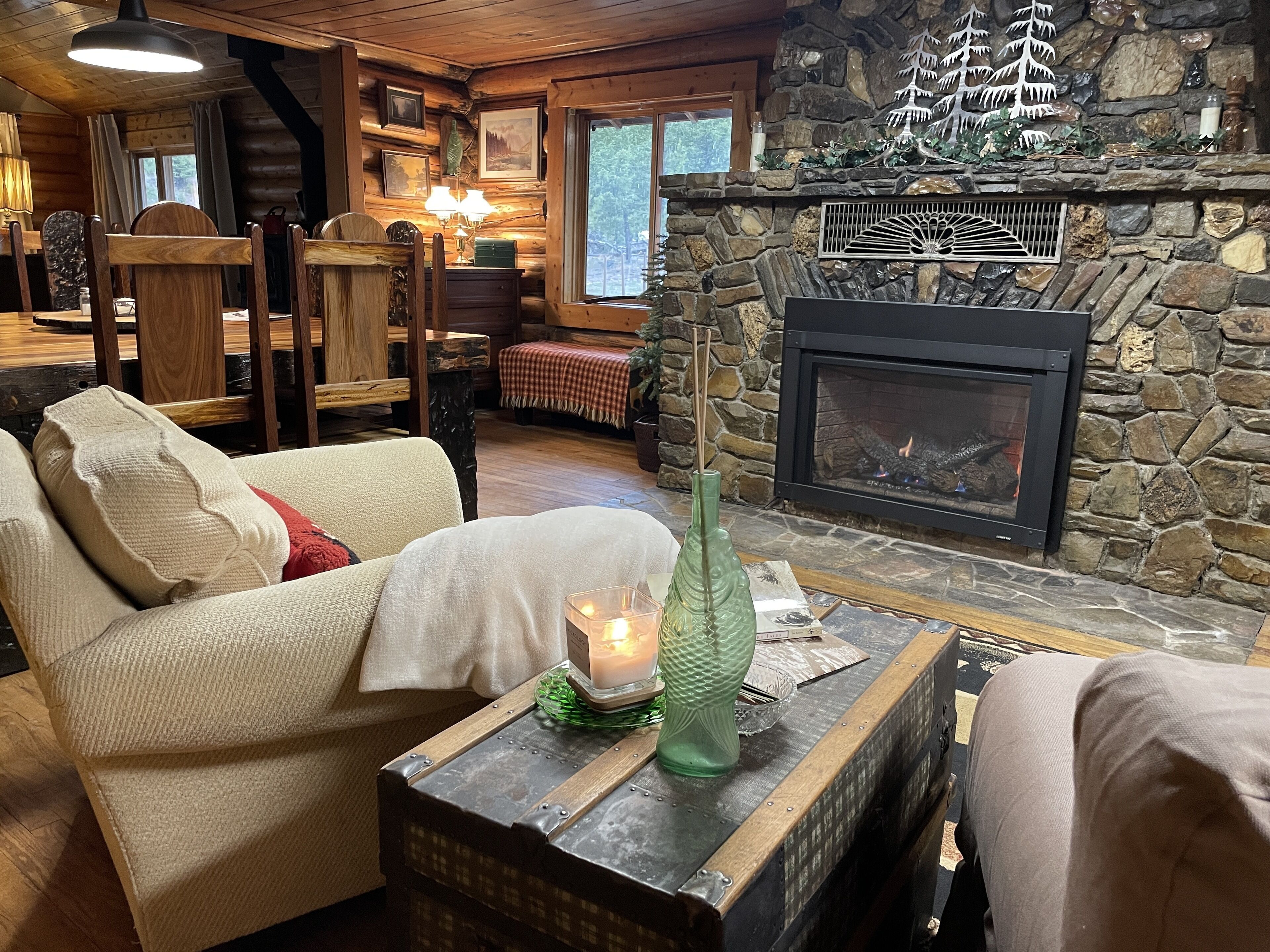 Smart TV, fireplace, DVD player, books