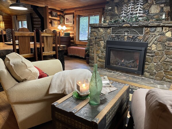 TV connectée, cheminée, lecteur de DVD, livres