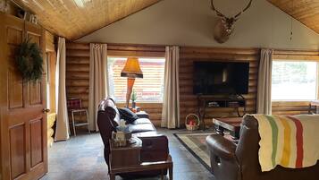 Smart TV, fireplace, DVD player, books