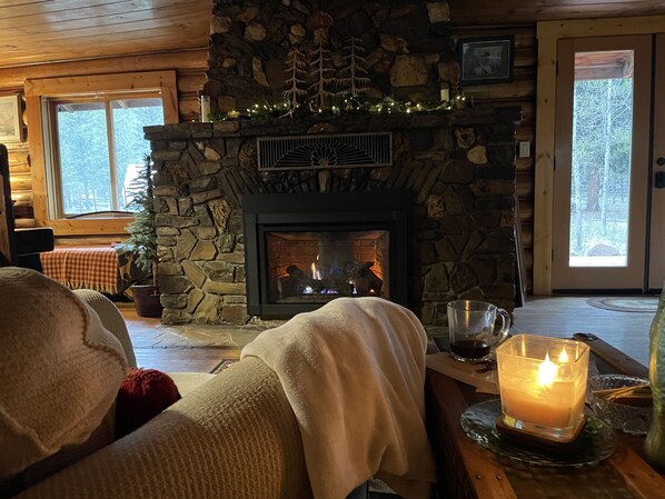 Smart TV, fireplace, DVD player, books