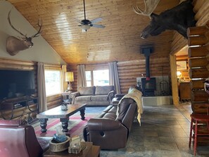 TV connectée, cheminée, lecteur de DVD, livres